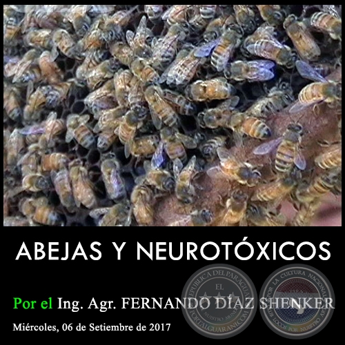 ABEJAS Y NEUROTXICOS - Ing. Agr. FERNANDO DAZ SHENKER - Mircoles, 06 de Setiembre de 2017